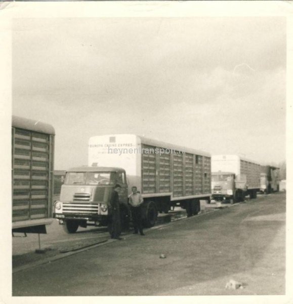 postduivenvervoer-noyon-1968-autos-van-hees-nispen-chauffeurs-jan-schepers-theo-marien-kees-korsmit-john-van-merienboer