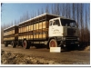 2011-01-31-volvo-f88-wittebols-roosendaal