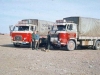 img1367158397