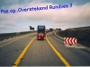 pas-op-overstekend-rundvee