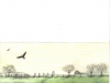 willy-tiemessen-1