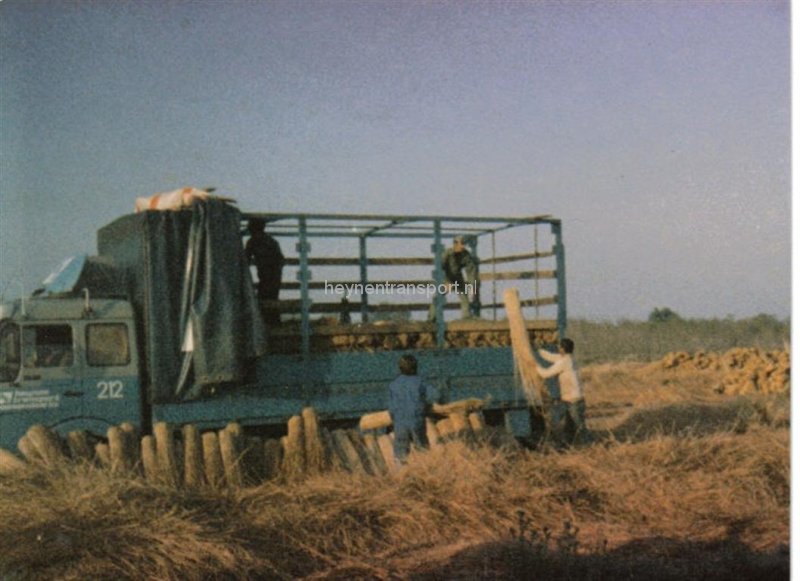 riet-laden-in-de-camargue-muggen-als-olifanten