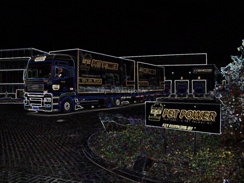 pet power by night 2