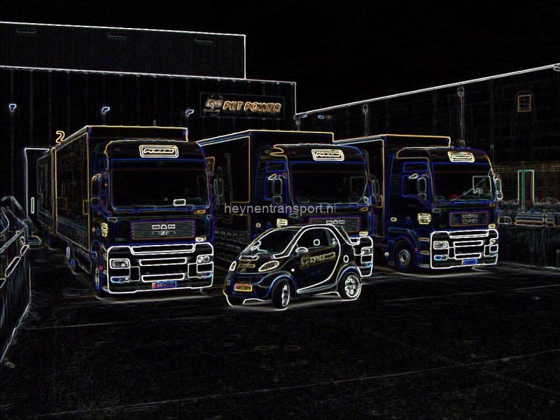 pet power by night